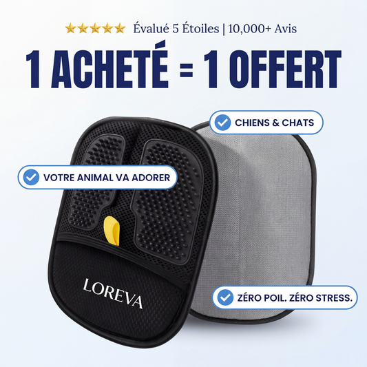 Loreva Magic Glove